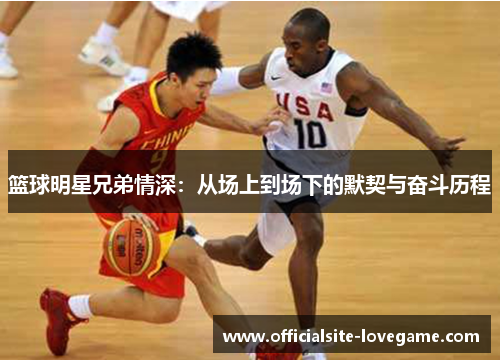 篮球明星兄弟情深：从场上到场下的默契与奋斗历程