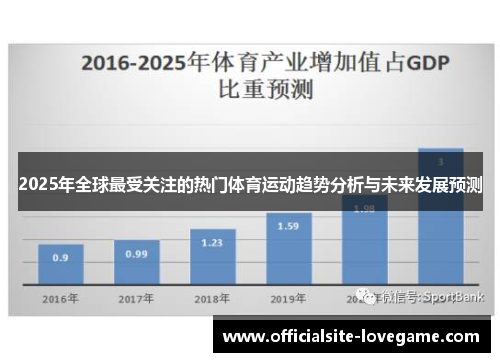 2025年全球最受关注的热门体育运动趋势分析与未来发展预测