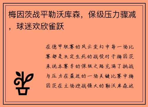 梅因茨战平勒沃库森，保级压力骤减，球迷欢欣雀跃